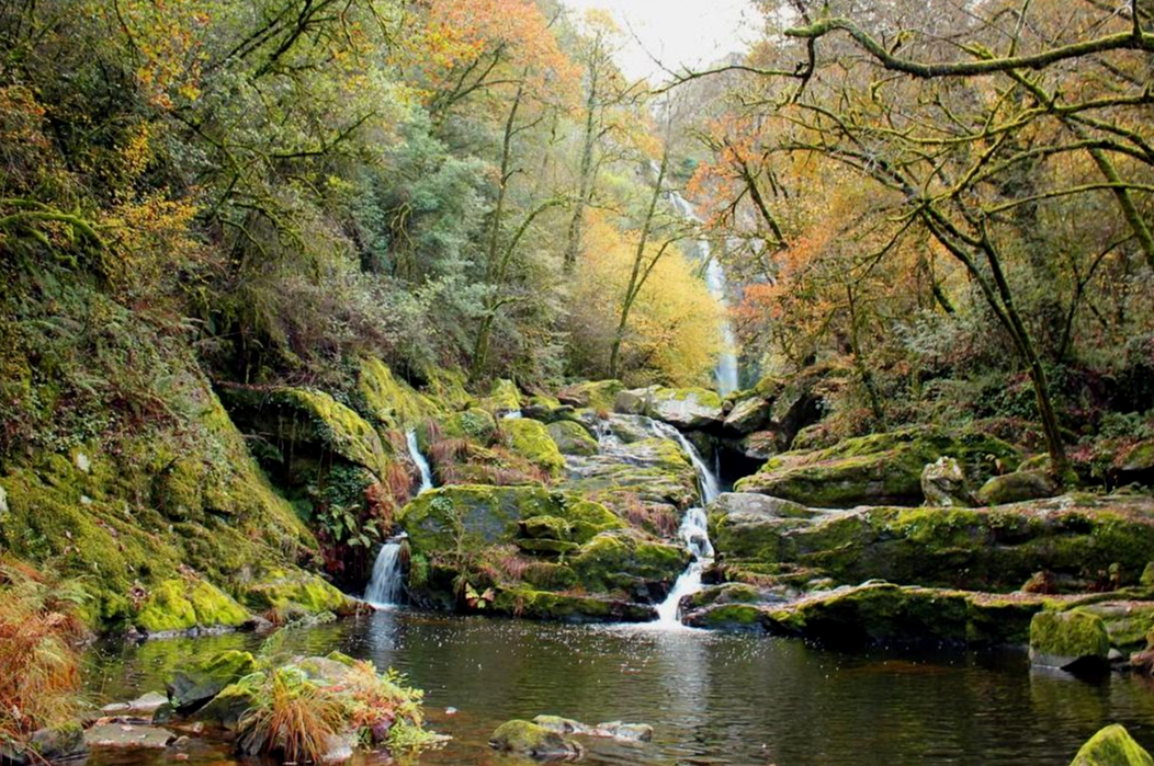 silleda-lansqcapes-pic-OK